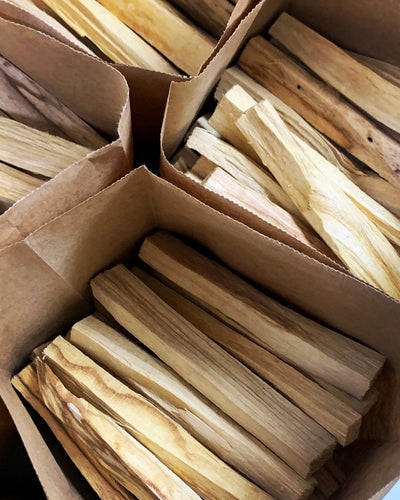Premium Ecuadorian Palo Santo Wood Stick (In Bulk) 厄瓜多爾聖木原木條 (原箱)