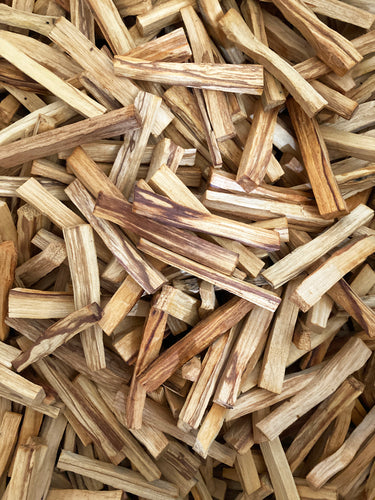 Premium Peruvian Palo Santo Wood Stick (In Bulk) 秘魯聖木原木條 (原箱)